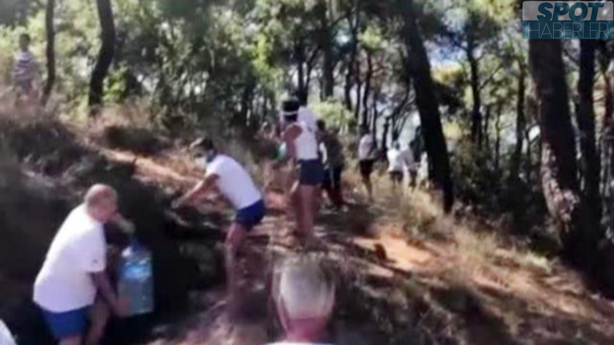 Heybeliada’da orman yangını! Yangına müdahale için insan zinciri