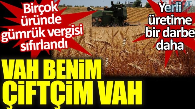 Gümrük vergisi bu ürünlerde sıfırlandı!