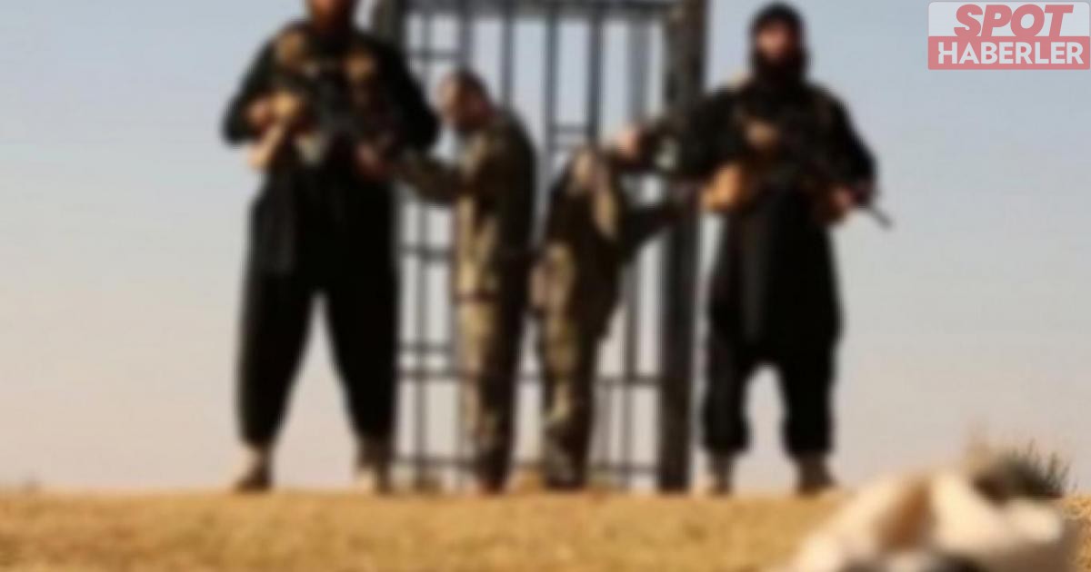 İsmail Saymaz’dan iki askerin yakılma fetvasını veren IŞİD kadısıyla ilgili vahim iddia