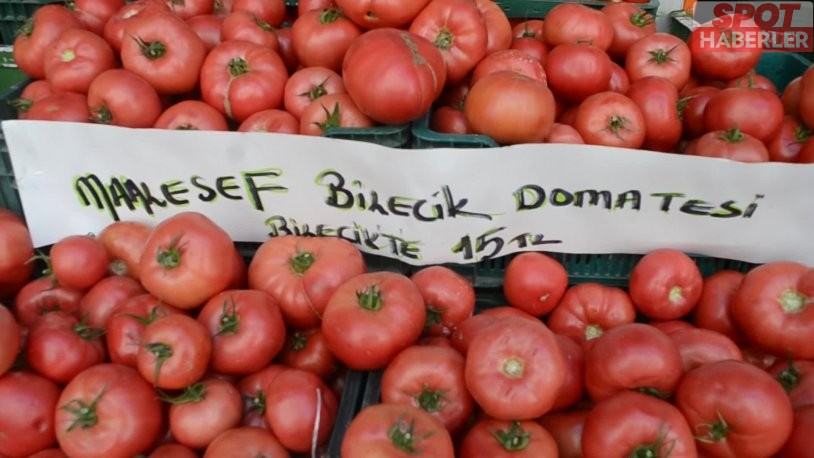 Manav fiyat etiketine not düştü: ‘Maalesef Bilecik domatesi Bilecik’te 15 lira’