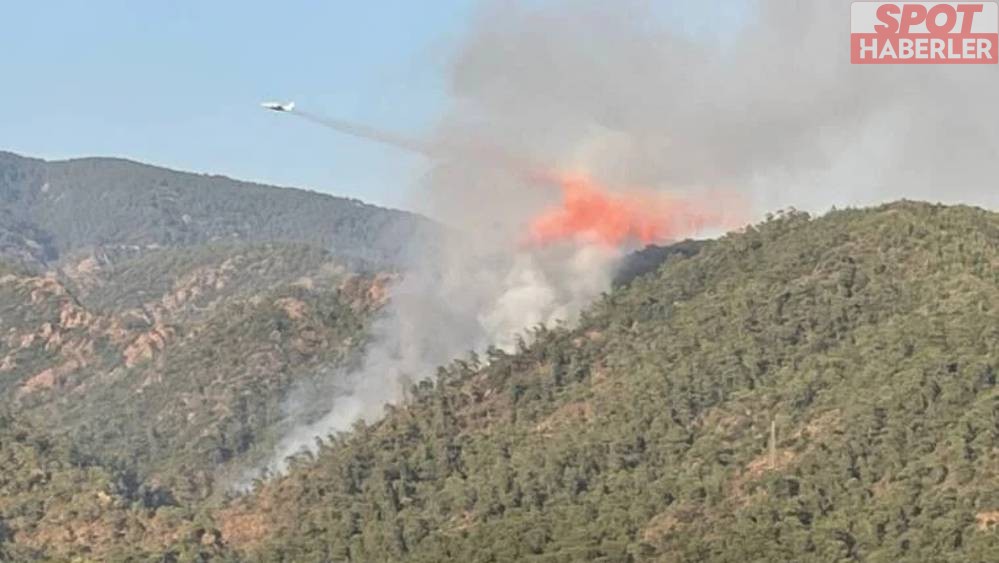 Yine Marmaris Yine Orman Yangını
