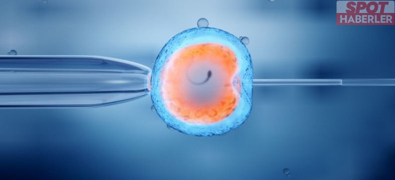 Yapay Sperm  Erkeklerin Sonu Mu Olacak?