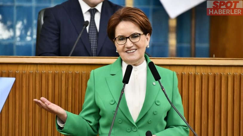 Meral Akşener’i köpek ısırdı