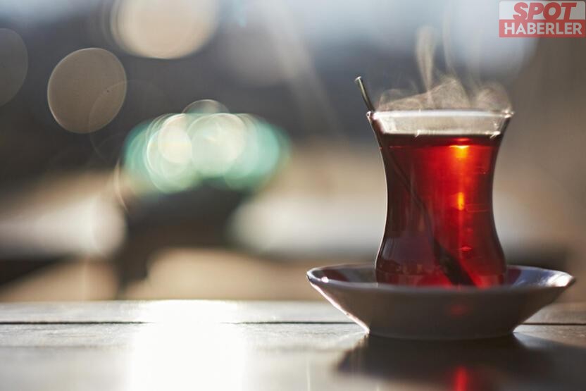 11 Yıllık Büyük Araştırma: Çayın Gerçek Mucizesi