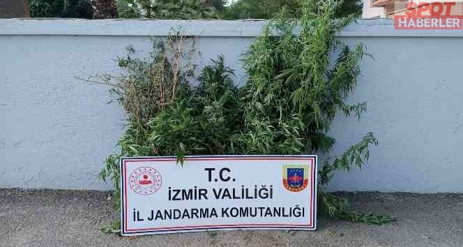 İzmir’de uyuşturucu baskınları: 27 şüpheli yakalandı