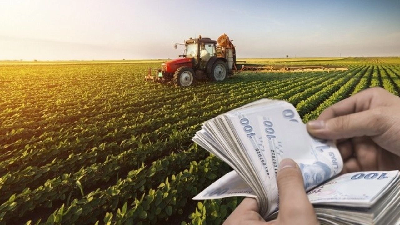 Tarımsal destek ödemeleri bugün çiftçilerin hesabında