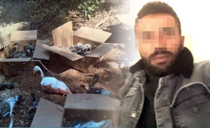 Tuz Gölündeki allı turnaları para için katlettiler