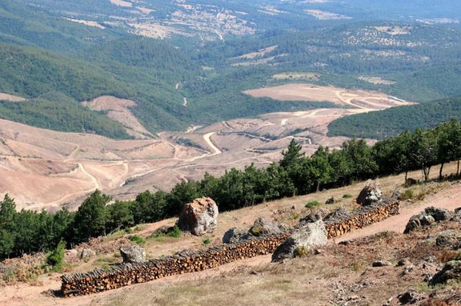 Bakan yardımcısından ‘Kaz Dağları’ itirafı: Dımdızlak bıraktılar