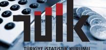 Yandaş TÜİK denetime de karşı