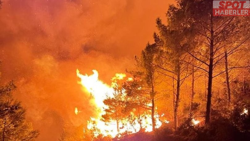 Mersin’deki orman yangını 2’nci gününde  kontrol altına alındı
