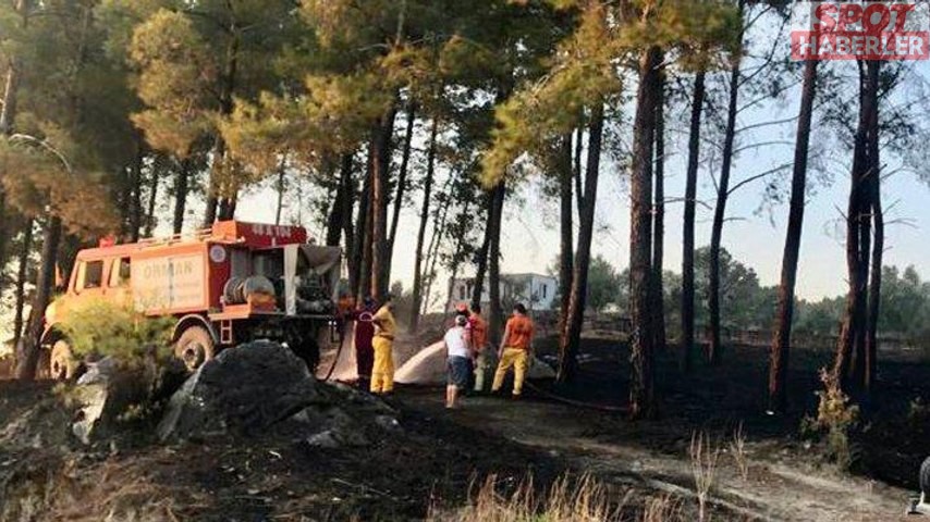 Muğla’daki orman yangınına sebep olanlar yakalandı
