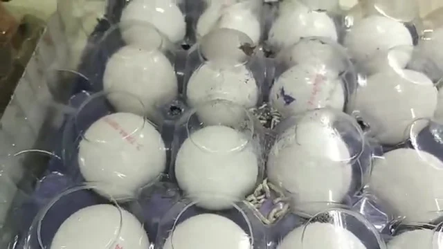 A101’de yumurta skandalı: Görüntüler mide bulandırdı!
