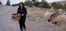 Sokak hayvanlarına ‘Hayat’ oluyor