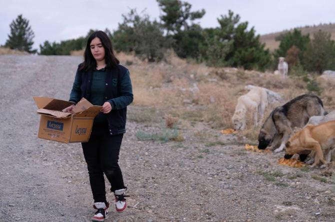 Sokak hayvanlarına ‘Hayat’ oluyor