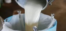 Ulusal Süt Konseyi çiğ süt tavsiye fiyatını açıkladı