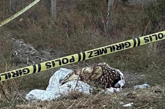 Battaniyeye sarılı kadın cesedinin sırrı çözüldü! Detaylar kan dondurucu