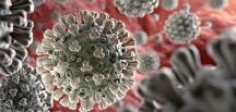 ABD: ‘Daha ölümcül bir koronavirüs varyantı geliştirdik’