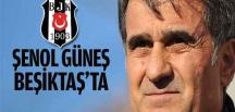 Beşiktaş’ın yeni hocası Şenol Güneş