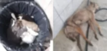 AKP’li belediyenin eski çalışanından kan donduran iddia