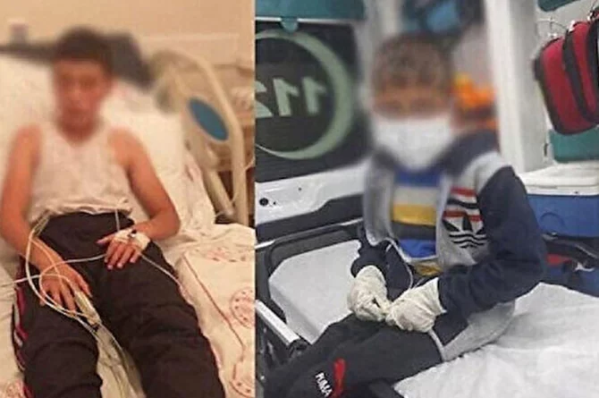 Son Dakika! Bitlis’te sokak köpeğinin ısırdığı ve kuduz olan çocuk hayatını kaybetti