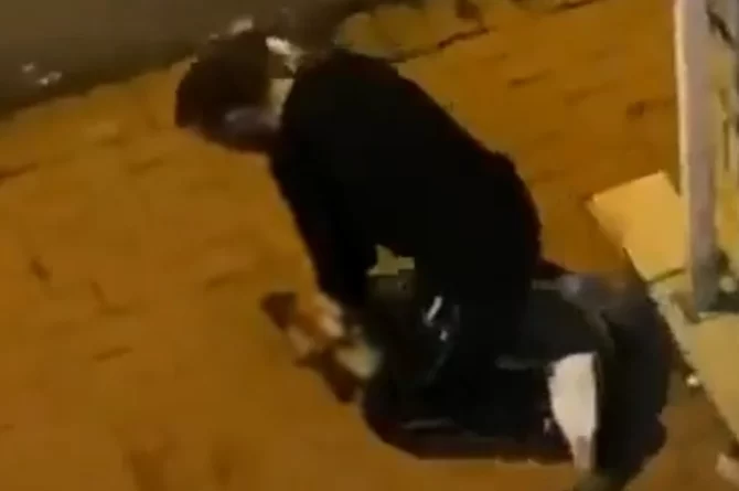 Sarıyer’de köpeği boğmaya çalışan şüpheli tutuklandı