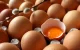 Suudi Arabistan Türkiye’den yumurta bekliyor