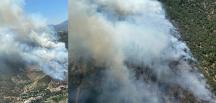 İzmir’in iki ayrı ilçesinde orman yangını çıktı!