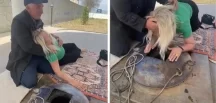 Türbedeki görüntüler şok etti!