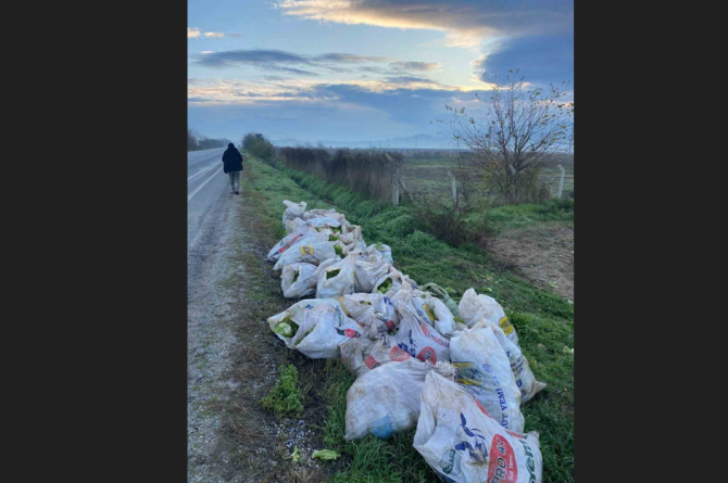 Tire’de çuval çuval marul çalan 3 şüpheli tutuklandı