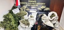 Hayvan damında uyuşturucu imalatı ve ticaretine polis operasyonu