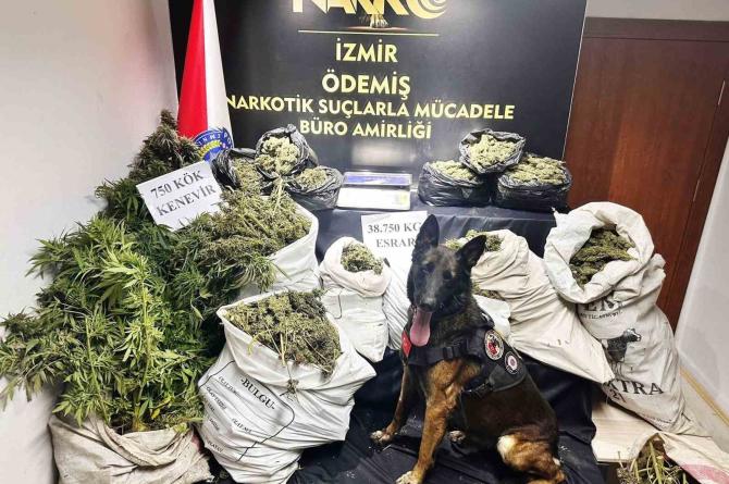 Hayvan damında uyuşturucu imalatı ve ticaretine polis operasyonu