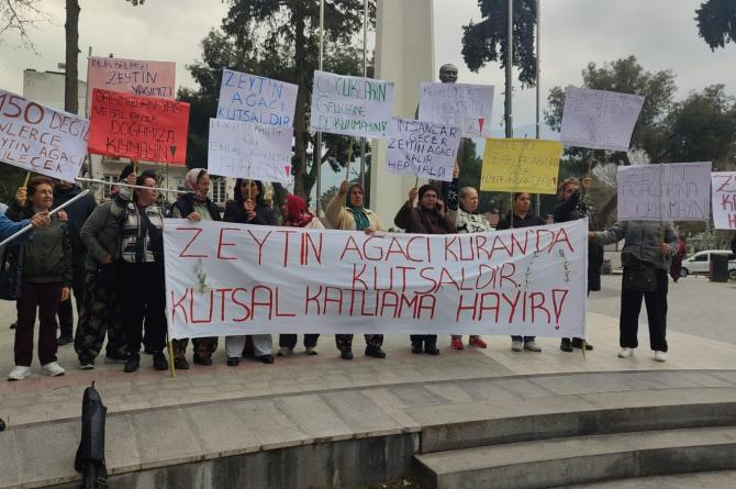 Tire Çayırlı Köyü, ağaçları için direniyor