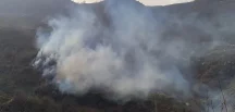 Ödemiş’te Tarım Arazisinde Yangın!