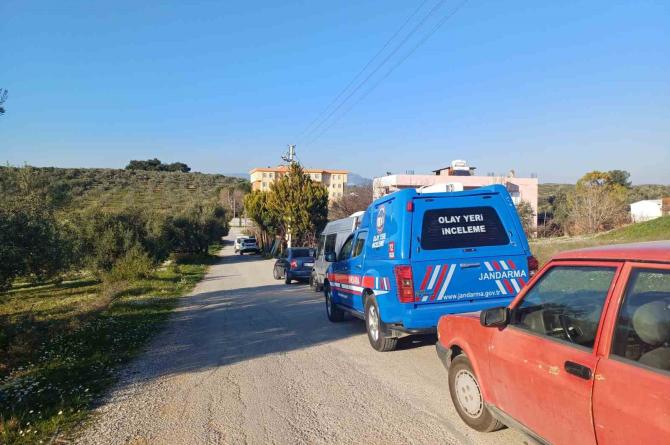 Torbalı’da bir eve operasyon: 102 kök kenevir ele geçirildi