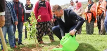 Buca Belediyesi’nden Arıcılığa Can Suyu