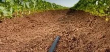 Tire’de Tarımsal Kuraklığa Karşı Modern Hamle