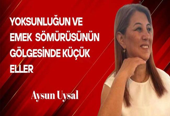 resim