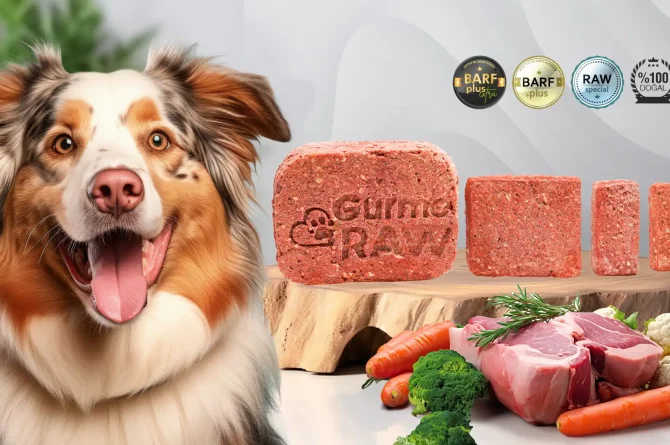 Çiğ mama Türkiye’de yükselişte