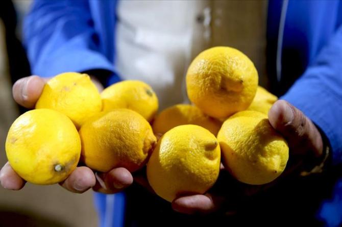 Fiyatlar limondan daha ekşi
