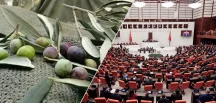 Bu işin ikinci perdesi yok