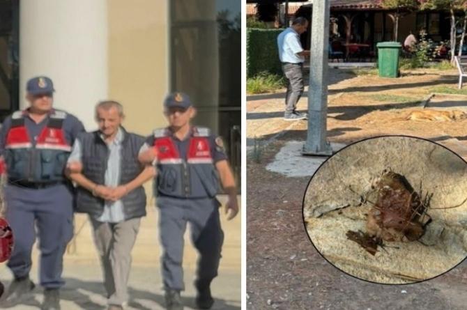 15 masum canı katleden cani tutuklandı! Etleri çocuklara dağıttırmış