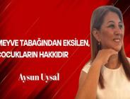 Aysun Uysal Yazdı… Meyve Tabağından Eksilen, Çocukların Hakkıdır