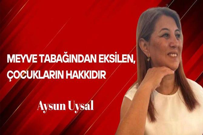 Aysun Uysal Yazdı… Meyve Tabağından Eksilen, Çocukların Hakkıdır