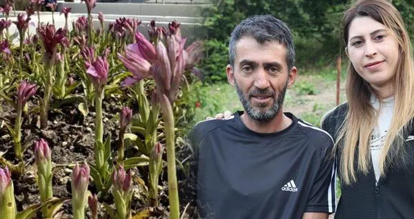 Kilosu Bin Liraya Ulaştı