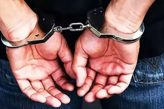 BAYĞARALAR SUÇ ÖRGÜTÜNE DEV DARBE: 10 İLDE 106 GÖZALTI!