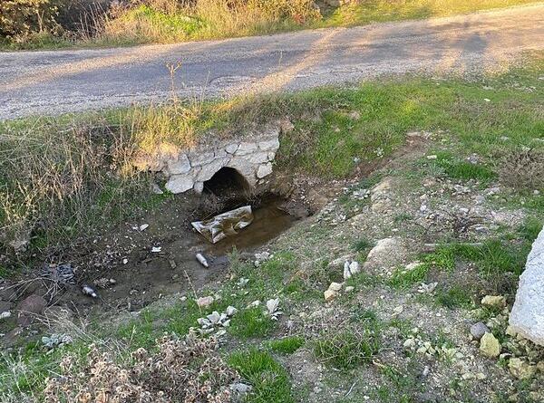 Çanakkale’de Vicdanları Sızlatan Olay
