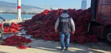 İzmir’de kaçak avlanan 27 ton kara midye ele geçirildi