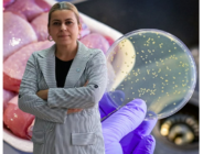 Artan Zehirlenme Vakaları Tire’yi Tedirgin Etti, İYİ Parti Uyardı