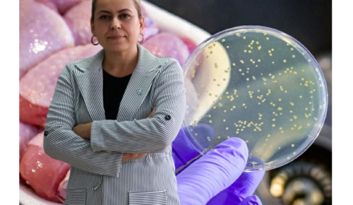 Artan Zehirlenme Vakaları Tire’yi Tedirgin Etti, İYİ Parti Uyardı