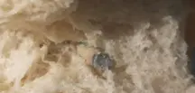 Fırından alınan ekmeğin içinden vida çıktı